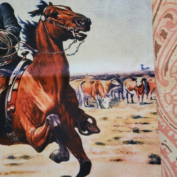 Horse Pillow Case. Western Cowboy Country. Ranch - Picture 4 of 13